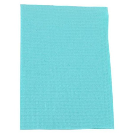 Essentials Patient Bib 2 Ply Tissue / Poly 13 in x 18 in Aqua Disposable 500/Ca