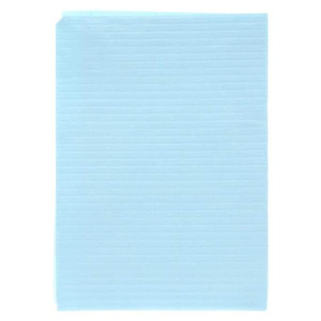 Essentials EDLP Patient Bib 1 Ply Tiss/Poly 13 in x 19 in Aq/Blu Dsp 800/Ca