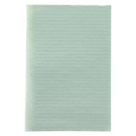 Essentials EDLP Patient Bib 2 Ply Tiss/Poly 13 in x 18 in Grn Disposable 500/Ca