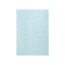 Patient Bib 2 Ply Tissue / Poly 13.5 in x 18 in Blue Disposable 500/Ca