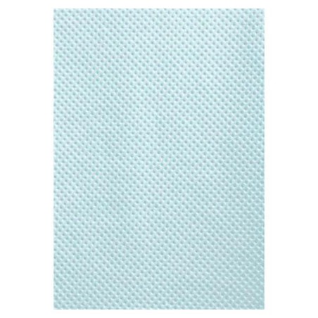 Patient Bib 2 Ply Tissue / Poly 13.5 in x 18 in Blue Disposable 500/Ca