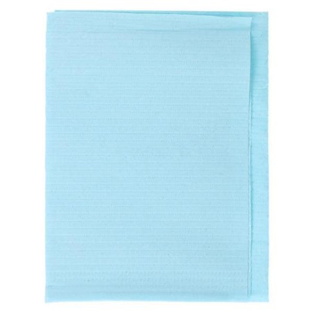 Dri-Gard Patient Towel 2 Ply Tissue / Poly 13 in x 19 in Blue Disposable 500/Ca