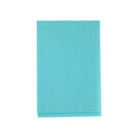 Patient Bib 3 Ply Tissue / Poly 13 in x 18 in Teal Disposable 500/Ca