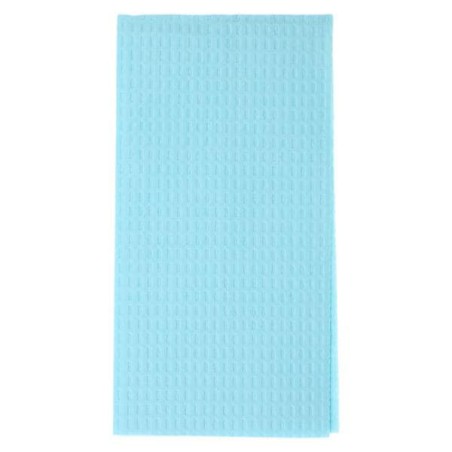 Patient Bib 2 Ply Tissue / Poly 17 in x 18 in Blue Disposable 500/Ca