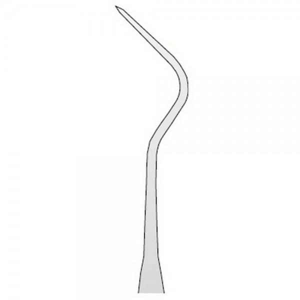 Explorer Anatomic N.10