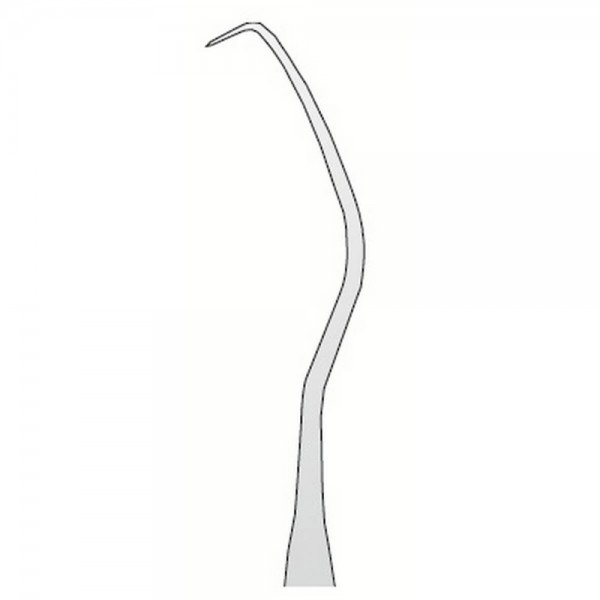 Explorer Anatomic N.17