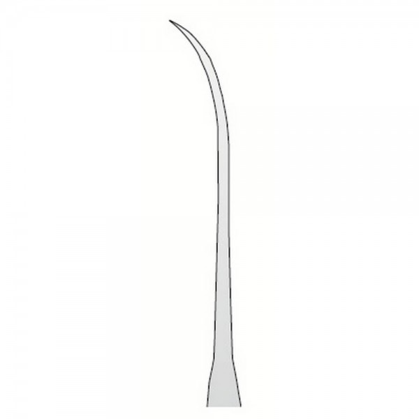 Explorer Anatomic N.3