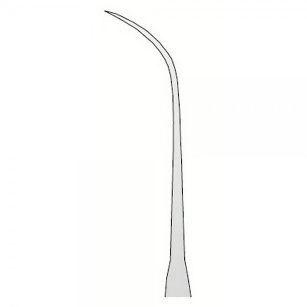 Explorer Anatomic N.3A