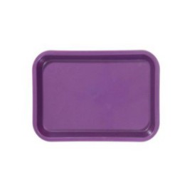 Mini Tray Plum Plastic Ea