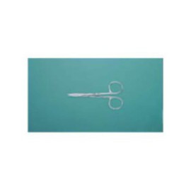 Iris Scissors Straight 4" Stainless Steel Ea