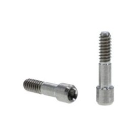 Biomet 3i Abutment Screw 2/Pk