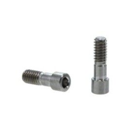 Straumann Abutment Screw 2/Pk