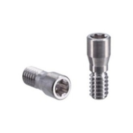 Straumann Abutment Screw 2/Pk