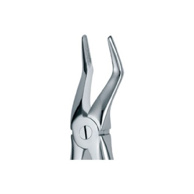 Dental Extraction Forceps 51L, Standard Handle