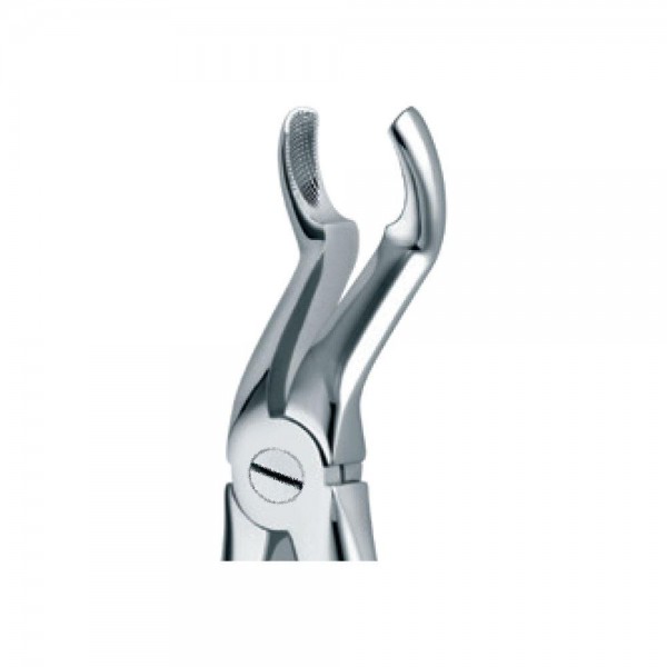 Dental Extraction Forceps 67A, Standard Handle