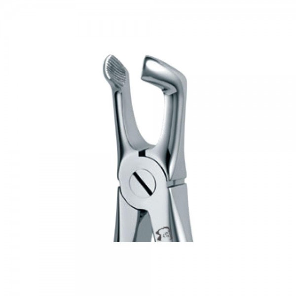 Dental Extraction Forceps 79A, Standard Handle