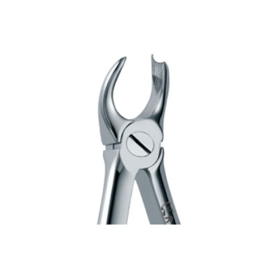 Dental Extraction Forceps 89, Standard Handle