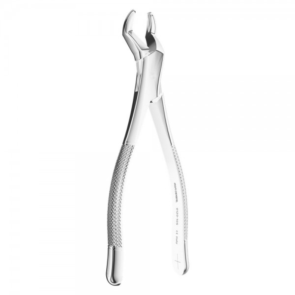 Extracting Forceps American pattern N. 10S