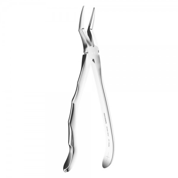 Extracting Forceps Anatomic N.151