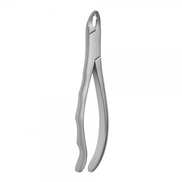 Pedo Tooth Forceps, Squared Beaks, Upper Teeth N.101