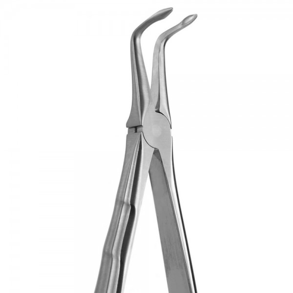 Tooth Forceps Blade Beaks N.187