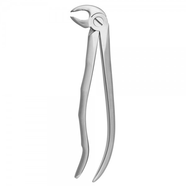 Tooth Forceps Blade Beaks N.22