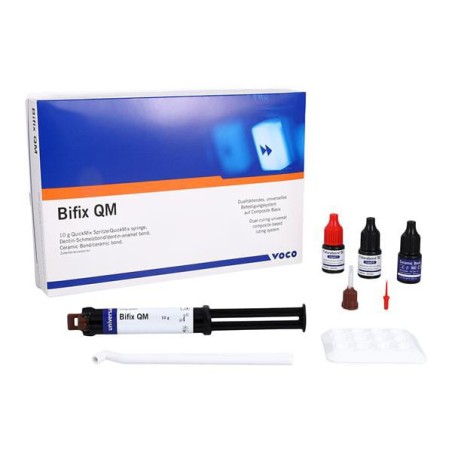 Bifix QM QuickMix Cement QuickMix Syringe Introductory Kit Ea