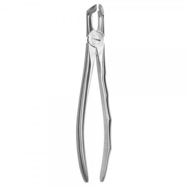 Tooth Forceps Blade Beaks N.79