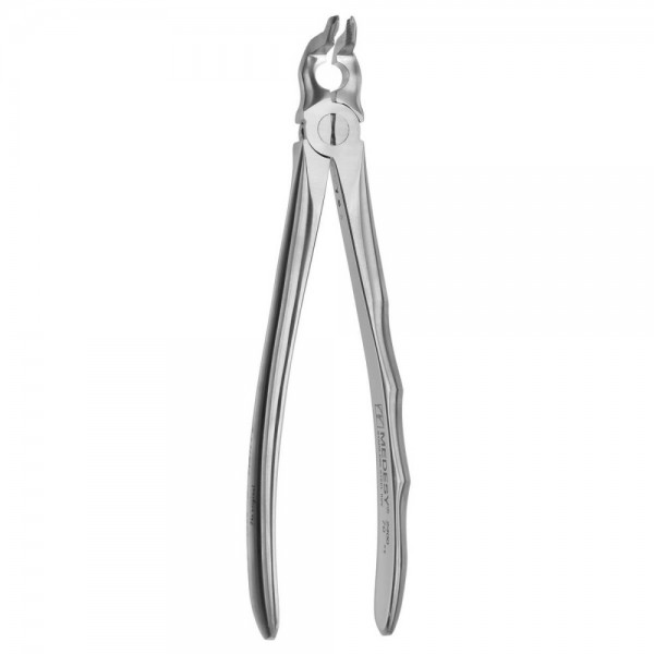 Tooth Forceps Dr.Comella