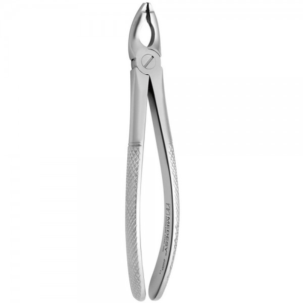 Tooth Forceps N.181