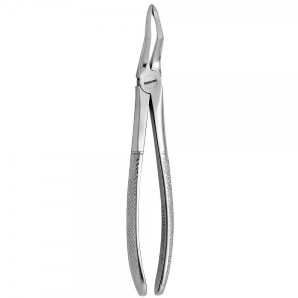 Tooth Forceps N.189