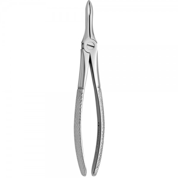 Tooth Forceps N.41
