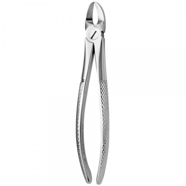 Tooth Forceps N.55