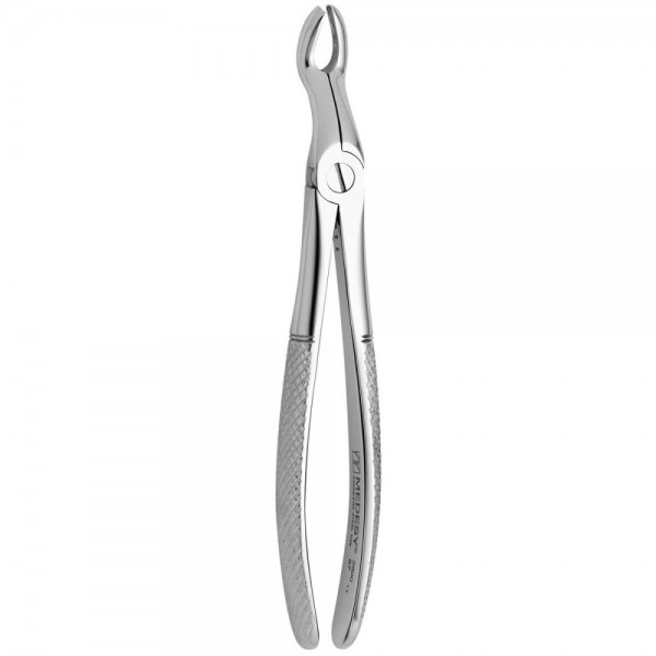 Tooth Forceps N.6