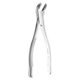 Extracting Forceps American Pattern N.17