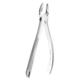 Extracting Forceps N. 65L