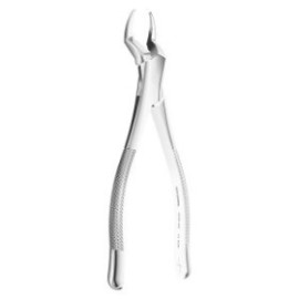 Extracting Forceps American N.65