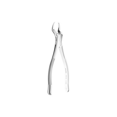 Extracting Forceps American N.65