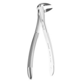 Extracting Forceps N. 359