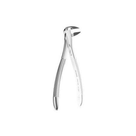 Extracting Forceps N. 359