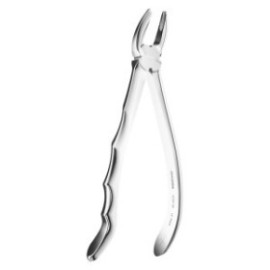 Extracting Forceps Anatomic Handle N.18