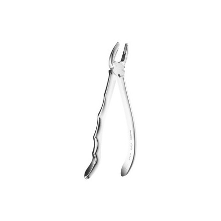 Extracting Forceps Anatomic Handle N.18