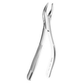 Extracting Forceps American P.Tomaes N.69