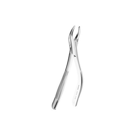 Extracting Forceps American P.Tomaes N.69