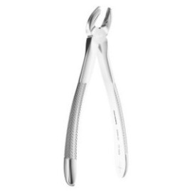 Extracting Forceps N. 21