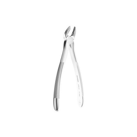 Extracting Forceps N. 21