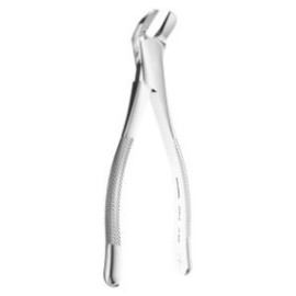 Extracting Forceps American N. 6 for Tooth Separation