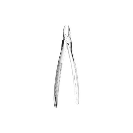 Extracting Forceps N. 29N