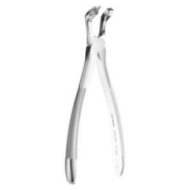 Extracting Forceps N. 79C