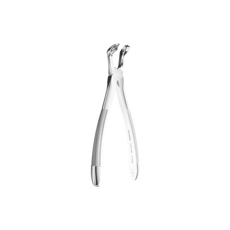 Extracting Forceps N. 79C